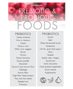Chart of Prebiotic and Probiotic foods.