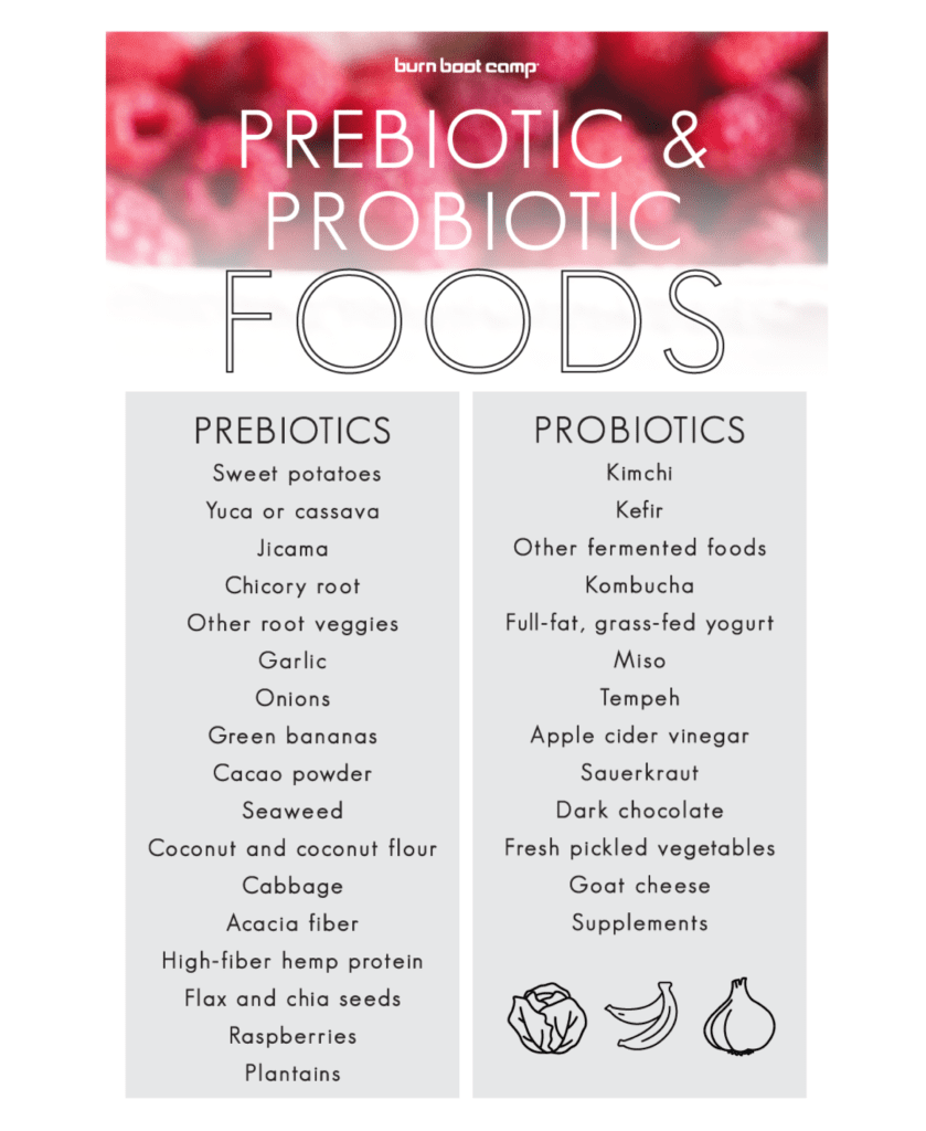 Do Probiotics & Prebiotics Really Heal Your Gut Health? - Burn Boot Camp